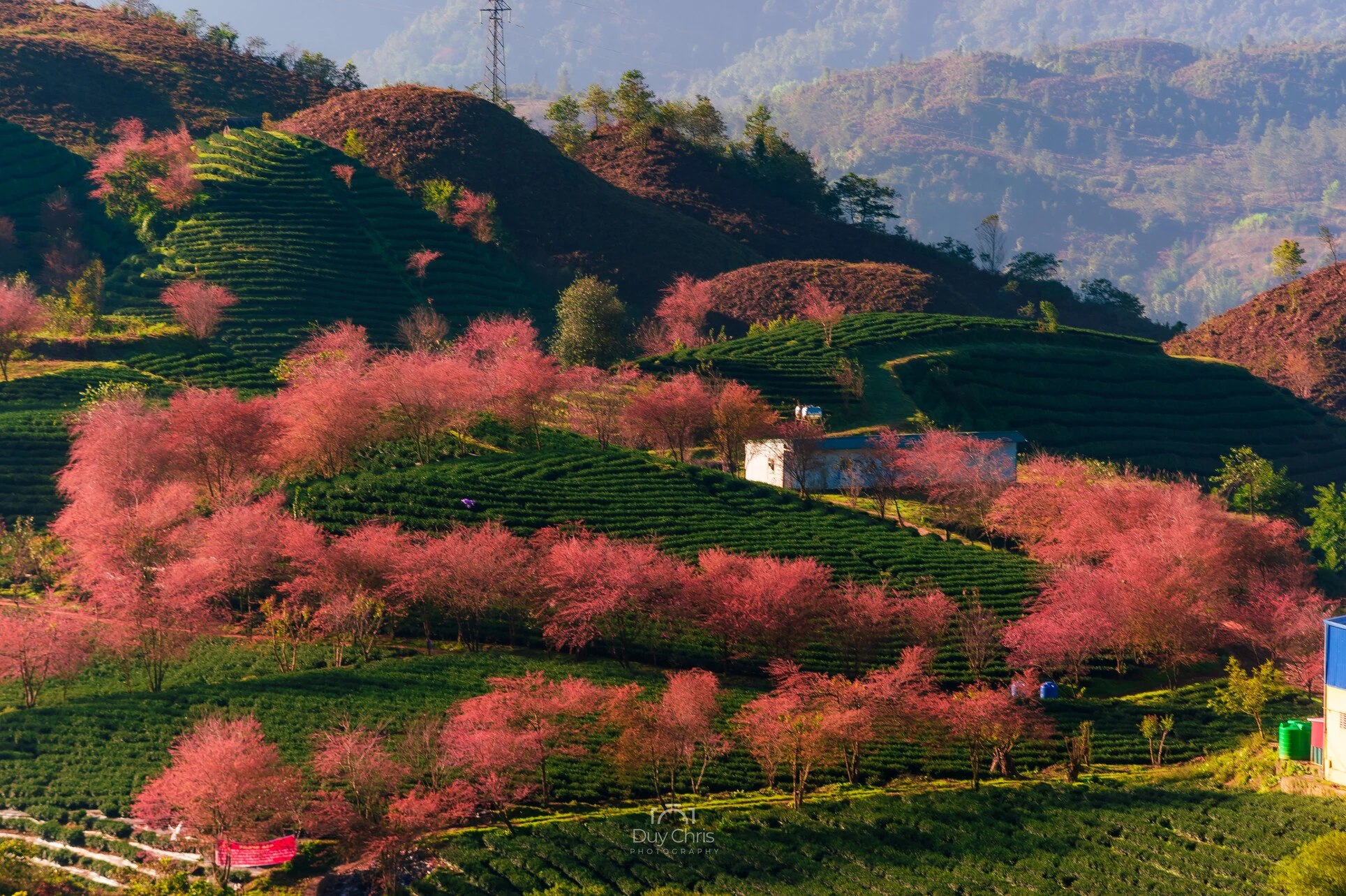 Trải nghiệm